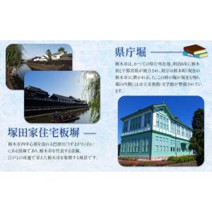 ふるさと納税 体験チケット 栃木県 栃木市 岩...の詳細画像5