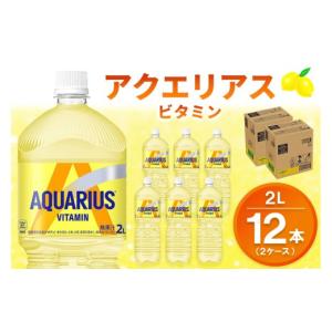 ふるさと納税 水・ミネラルウォーター 1L〜2L 佐賀県 基山町 アクエリアス ビタミン PET 2L (2ケース) 計12本 コカコーラ アクエリ スポーツ飲料 夏バテ予防 …
