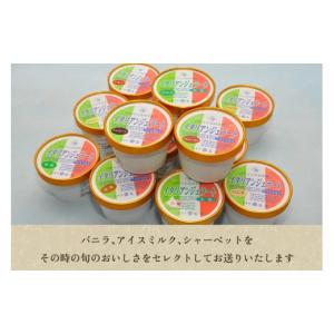 ふるさと納税 菓子 アイス 新潟県 加茂市 定...の詳細画像4