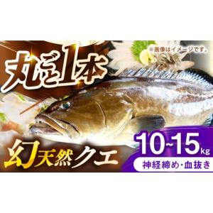 ふるさと納税 旬の鮮魚等 長崎県 壱岐市 壱岐産...の商品画像