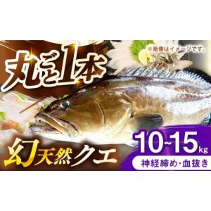ふるさと納税 旬の鮮魚等 長崎県 壱岐市 壱岐...の詳細画像1