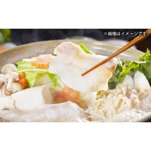 ふるさと納税 旬の鮮魚等 長崎県 壱岐市 壱岐...の詳細画像2