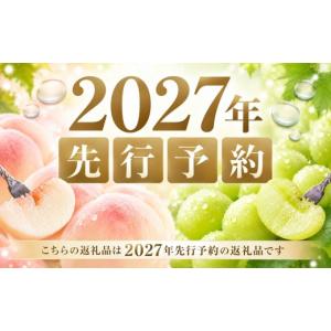 ふるさと納税 ぶどう マスカット 岡山県 岡山...の詳細画像2