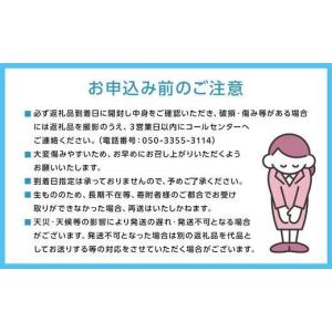 ふるさと納税 ぶどう マスカット 岡山県 岡山...の詳細画像5