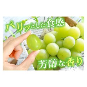 ふるさと納税 ぶどう マスカット 茨城県 石岡...の詳細画像3