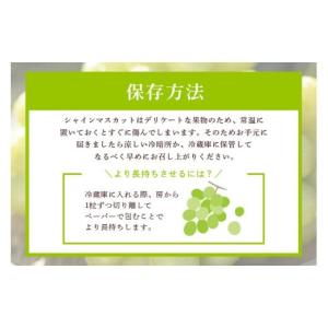 ふるさと納税 ぶどう マスカット 茨城県 石岡...の詳細画像5