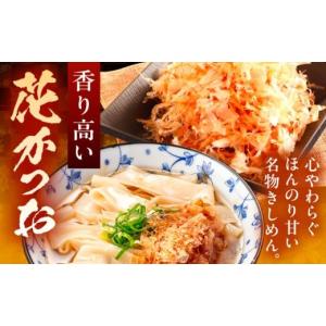 ふるさと納税 うどん 生・半生めん 愛知県 愛...の詳細画像5