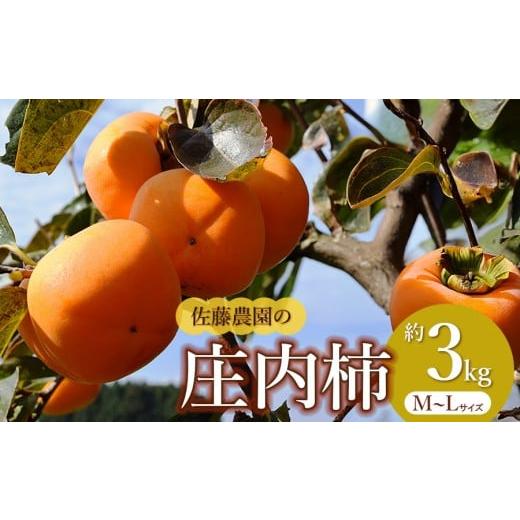 ふるさと納税 果物類 柿 山形県 鶴岡市  令和8年産先行予約 　庄内柿　M〜Ｌ　約3kg　佐藤農園