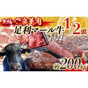 ふるさと納税 牛肉 ロース 栃木県 足利市 至福のご褒美肉 足利マール牛1／2頭 　約200kg F7Z-1652