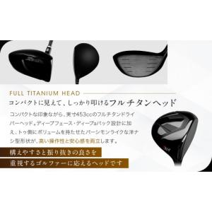 ふるさと納税 ゴルフグッズ クラブ 愛知県 名...の詳細画像3
