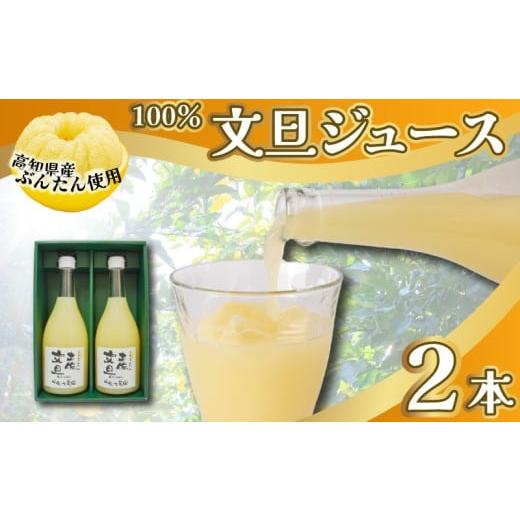 ふるさと納税 果汁飲料 みかん 高知県 安芸市 文旦 フレッシュ ジュース 2本セット 果汁 100...
