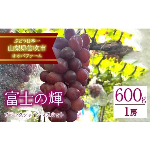 ふるさと納税 ぶどう マスカット 山梨県 笛吹市  2026年発送 先行予約 富士の輝（ブラックシャ...