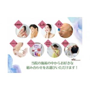 ふるさと納税 美容 愛知県 名古屋市 美容医療...の詳細画像2