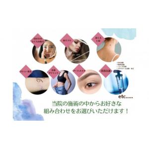 ふるさと納税 美容 愛知県 名古屋市 美容医療...の詳細画像3