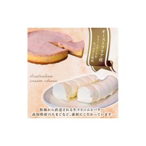 ふるさと納税 ケーキ・カステラ チーズケーキ ...の詳細画像3