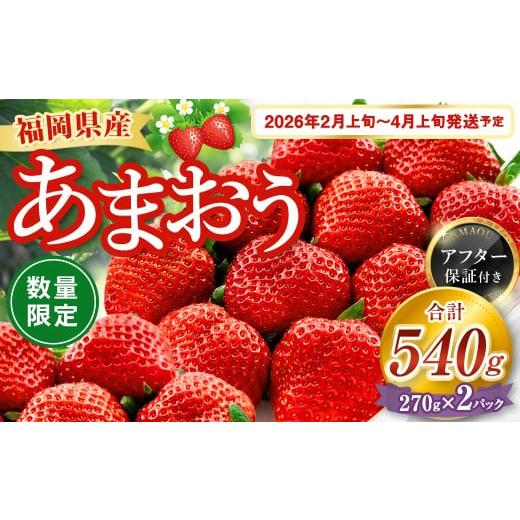 ふるさと納税 いちご 福岡県 遠賀町  数量限定 福岡県産 あまおう 270g × 2パック 202...
