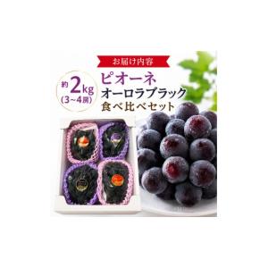 ふるさと納税 果物類 ぶどう 岡山県 高梁市 ...の詳細画像4