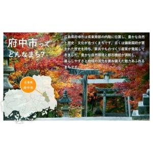 ふるさと納税 家具 テーブル 広島県 府中市 ...の詳細画像4