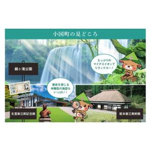 ふるさと納税 宿泊券 熊本県 小国町 ASOお...の詳細画像3