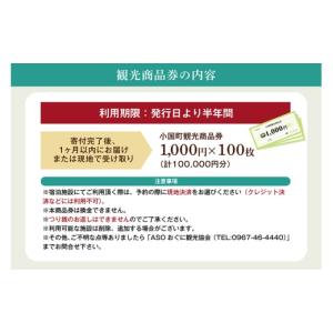 ふるさと納税 宿泊券 熊本県 小国町 ASOお...の詳細画像4