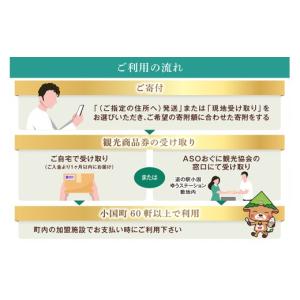 ふるさと納税 宿泊券 熊本県 小国町 ASOお...の詳細画像5