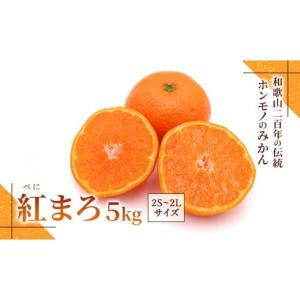 ふるさと納税 果物類 みかん 和歌山県 印南町 みかん『紅まろ（べにまろ）』2S〜2Lサイズ 5kg ［糖度11度以上］｜ふるさとチョイス