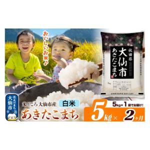 ふるさと納税 米 あきたこまち 秋田県 大仙市 米《定期便2ヶ月》あきたこまち 白米 米どころ秋田県大仙市産 令和7年産 精米 5kg（5kg×1袋） 米 お米 こめ 白…