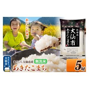 ふるさと納税 米 あきたこまち 秋田県 大仙市 米 あきたこまち 無洗米 米どころ秋田県大仙市産 令和7年産 精米 5kg（5kg×1袋） 米 お米 こめ 無洗米 精米 あ…