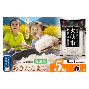 ふるさと納税 米 あきたこまち 秋田県 大仙市 米《定期便6ヶ月》あきたこまち 無洗米 米どころ秋田県大仙市産 あきたこまち5kg（5kg×1袋） 米 お米 こめ 無洗…
