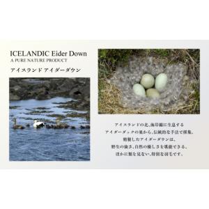 ふるさと納税 タオル・寝具 掛け布団 山梨県 ...の詳細画像3