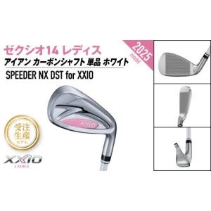 ふるさと納税 ゴルフグッズ クラブ 宮崎県 都...の詳細画像2
