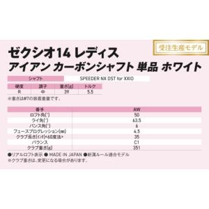 ふるさと納税 ゴルフグッズ クラブ 宮崎県 都...の詳細画像3