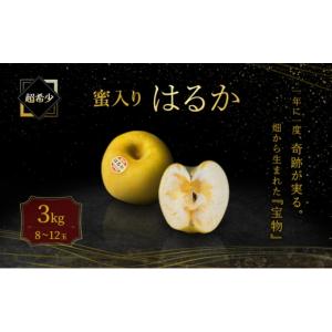 ふるさと納税 りんご 岩手県 盛岡市 先行予約...の詳細画像1