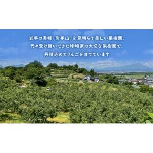 ふるさと納税 りんご 岩手県 盛岡市 先行予約...の詳細画像3