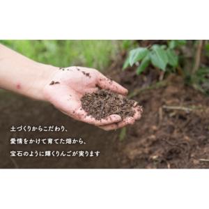 ふるさと納税 りんご 岩手県 盛岡市 先行予約...の詳細画像4