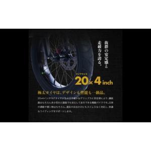 ふるさと納税 自転車 電動アシスト自転車 岐阜...の詳細画像4