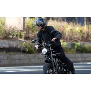 ふるさと納税 自転車 電動アシスト自転車 岐阜...の詳細画像3