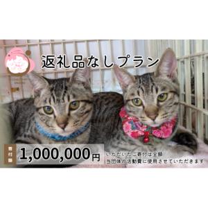ふるさと納税 感謝状等 福岡県 小郡市 保護猫活動を応援 返礼品無し 1,000,000円（お礼状送付） 保護猫