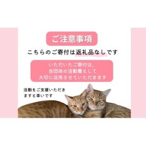 ふるさと納税 感謝状等 福岡県 小郡市 保護猫...の詳細画像2