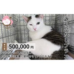 ふるさと納税 感謝状等 福岡県 小郡市 保護猫活動を応援 返礼品無し 500,000円（お礼状送付） 保護猫