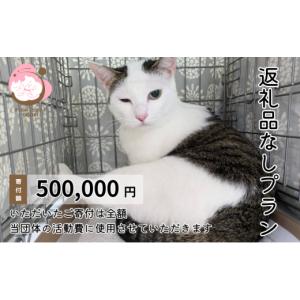 ふるさと納税 感謝状等 福岡県 小郡市 保護猫...の詳細画像1