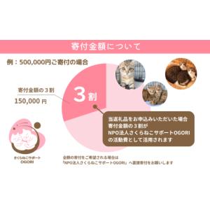 ふるさと納税 感謝状等 福岡県 小郡市 保護猫...の詳細画像3