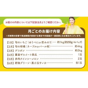 ふるさと納税 果物の詰合せ 熊本県 - 6ヶ月...の詳細画像3