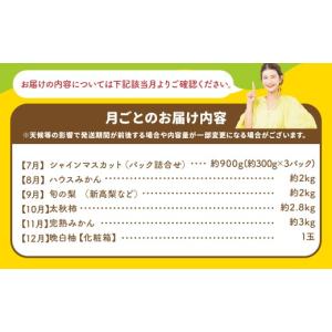 ふるさと納税 果物の詰合せ 熊本県 - 6ヶ月...の詳細画像4