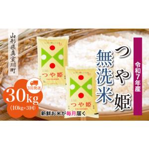 ふるさと納税 無洗米 山形県 真室川町  令和7年産米 特別栽培米 つや姫 無洗米 定期便 30kg （10kg×1ヶ月間隔で3回お届け） 配送時期指定可 　山形県真室川町｜ふるさとチョイス