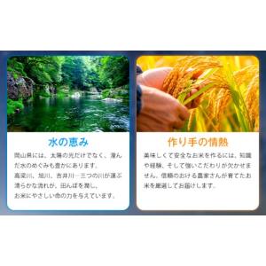 ふるさと納税 無洗米 岡山県 浅口市 応援米 ...の詳細画像3