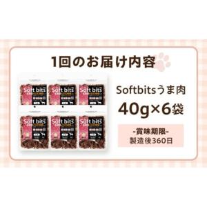 ふるさと納税 馬肉 長崎県 大村市 全12回定...の詳細画像5