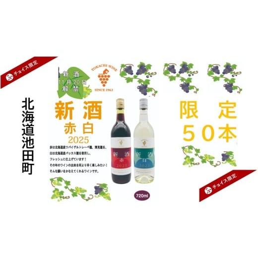 ふるさと納税 ワイン セット 北海道 池田町 十勝ワイン 新酒2025 赤・白 2本セット 北海道ワ...