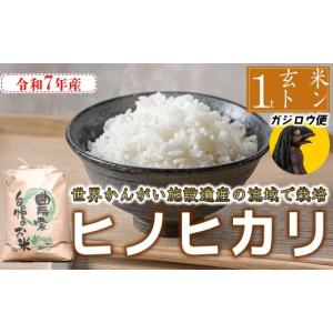 ふるさと納税 玄米 兵庫県 福崎町 河童のガジロウがお届け 令和7年産 玄米 ヒノヒカリ 八千種米 お米 1000kg ごはん 兵庫県産 世界かんがい施設遺産登録『西…