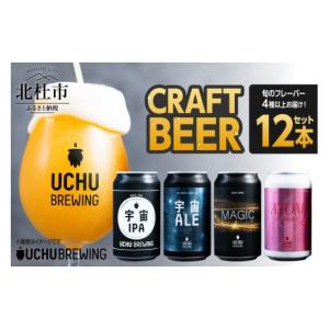 ふるさと納税 津山市 作州津山ビール 宇宙ラベルシリーズ12本入り 